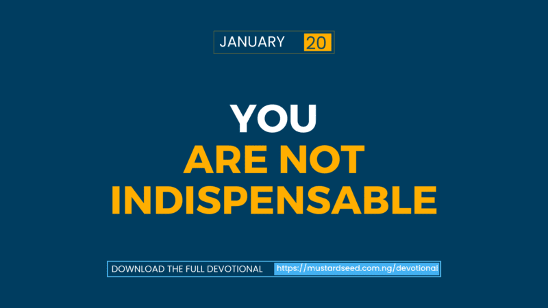 You Are Not Indispensable