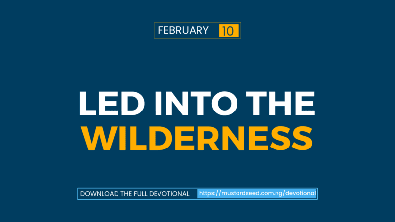 Led into the Wilderness