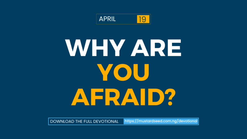 Why Are You Afraid?