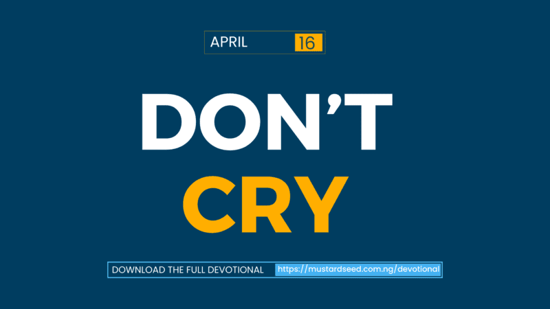 Don’t Cry