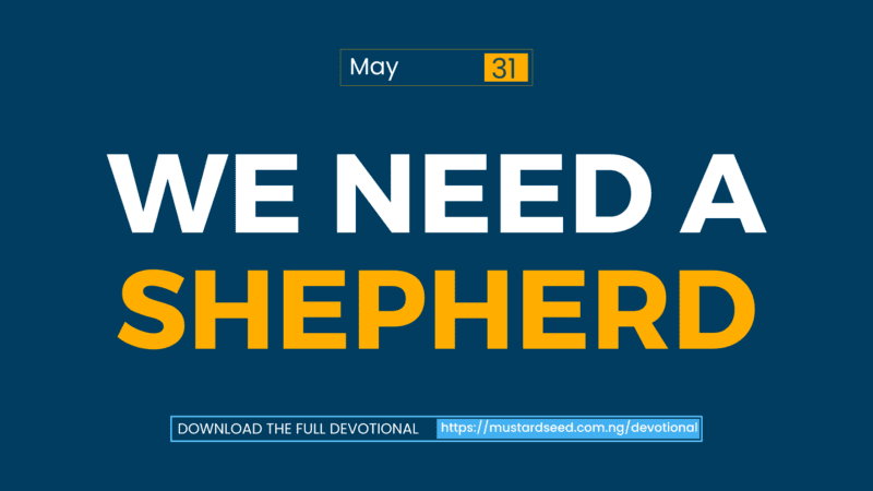 We Need a Shepherd