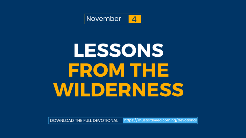 Lessons from the Wilderness