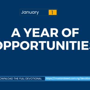 A Year of Opportunities