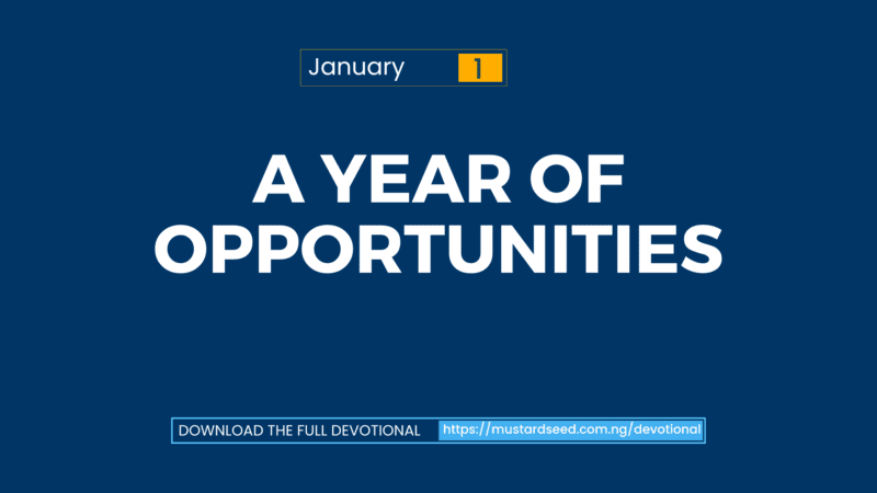 A Year of Opportunities