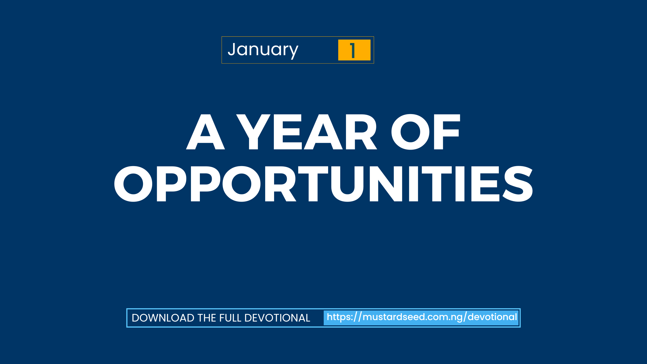 A Year of Opportunities