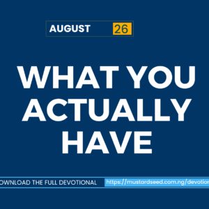 What You Actually Have