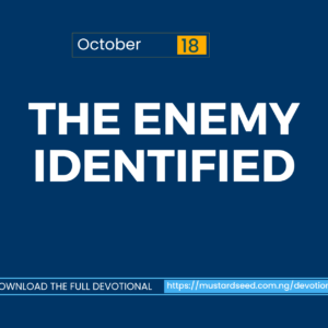 The Enemy Identified
