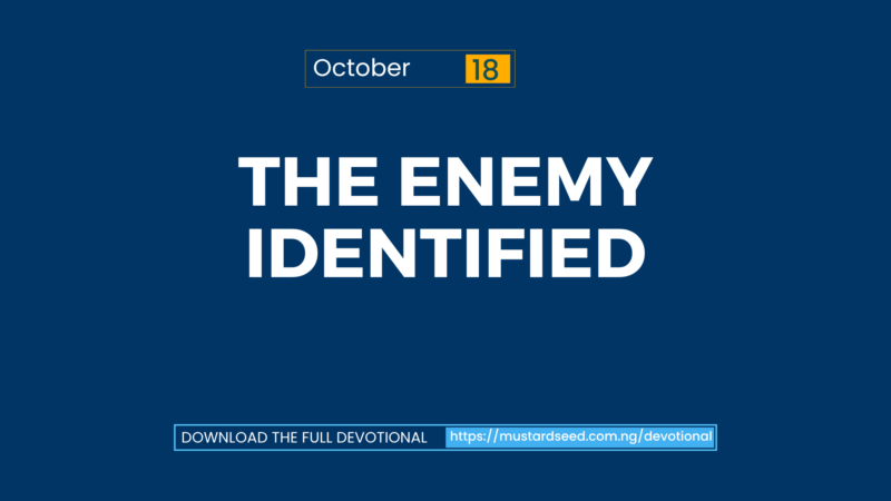 The Enemy Identified