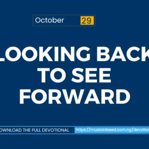 Looking Back to See Forward